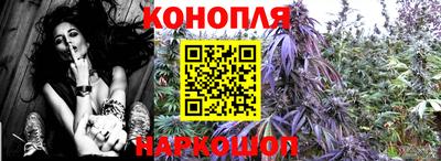 ALPHA PVP Канаш